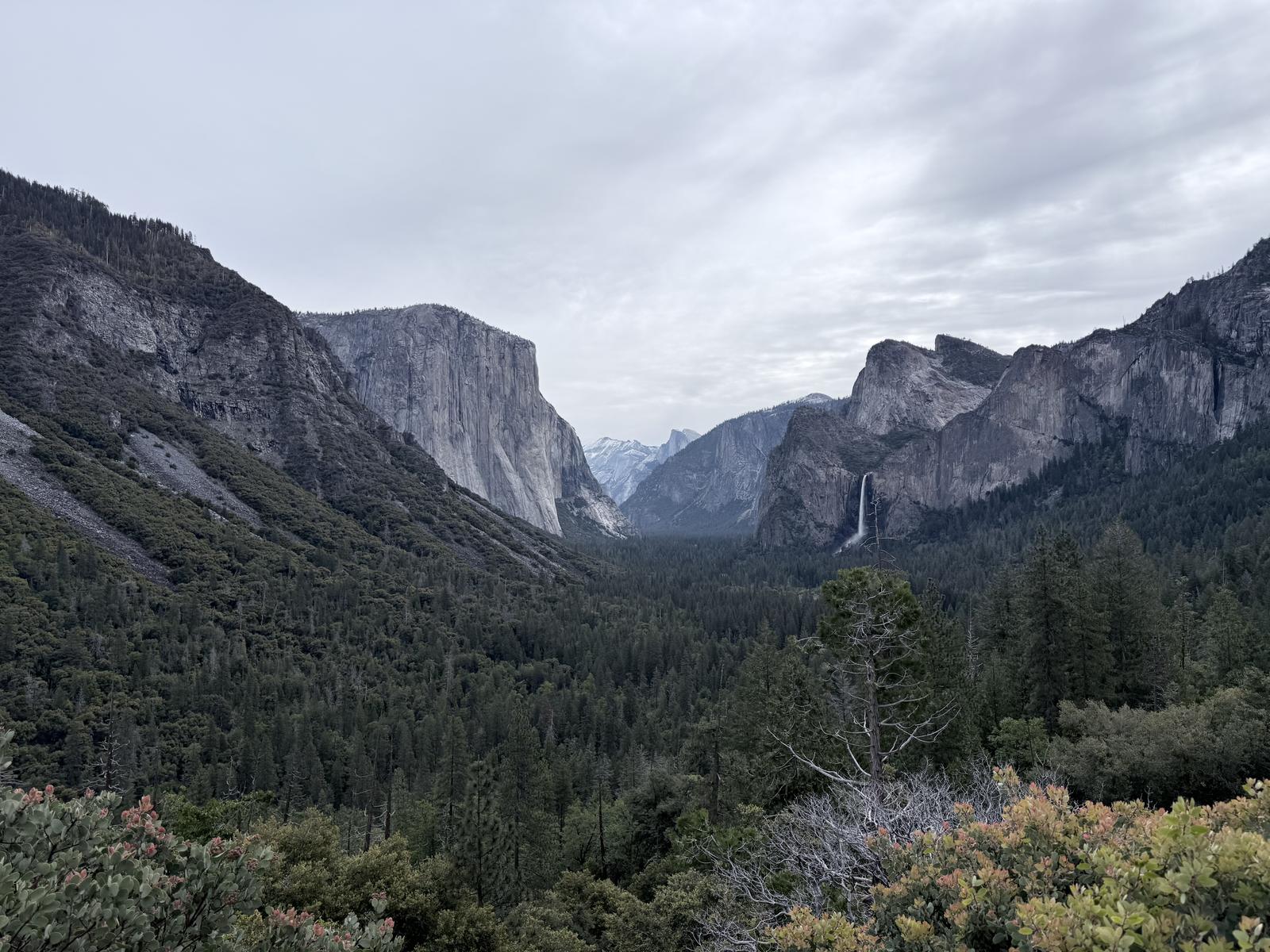 Yosemite Valley granite cliffs and forest