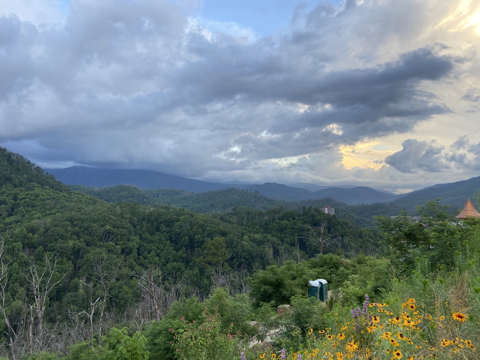 Misty ridgeline in the Great Smoky Mountains