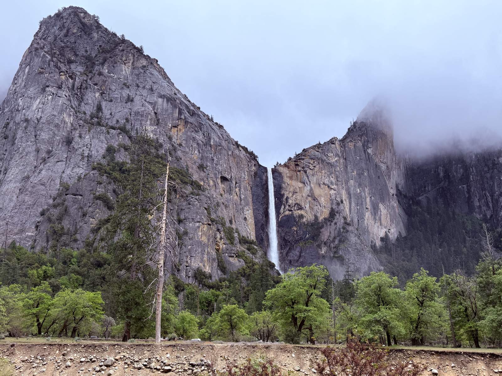 Yosemite Valley granite cliffs and forest