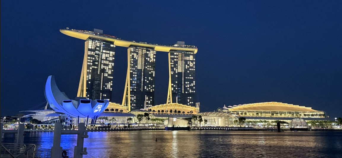 Latticed teal canopy above a reflecting pool, Singapore
